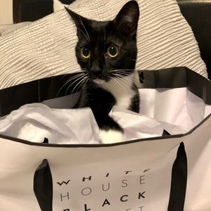 Meet your Posher, Tara